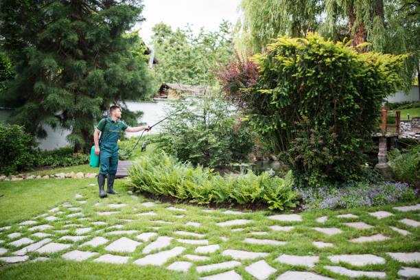 Best Ant Control Services  in Jones, OK