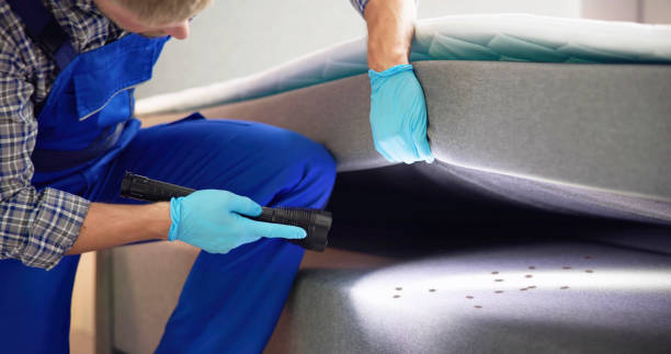 Pest Control for Restaurants in Jones, OK