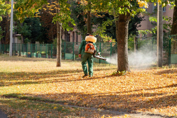 Best Pest Inspection Near Me  in Jones, OK