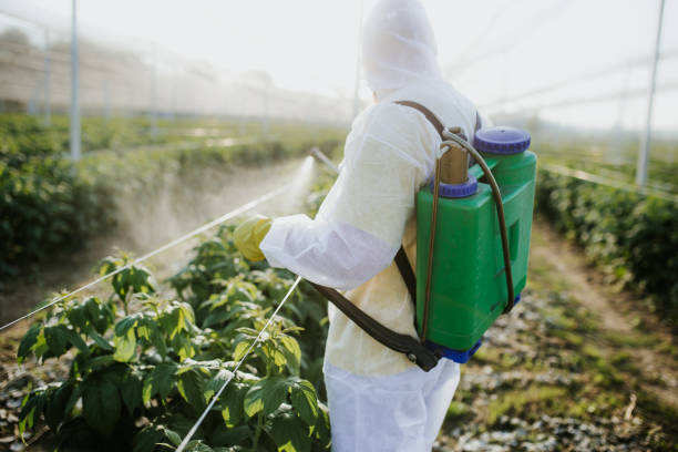 Best Exterminator Services  in Jones, OK